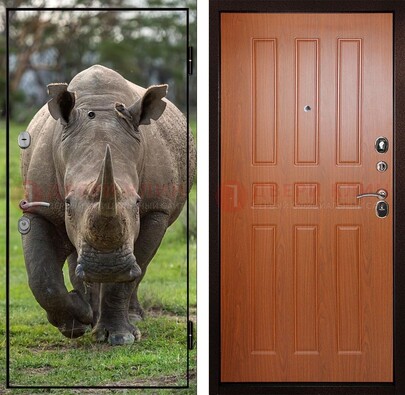 Металлическая дверь с фотопечатью носорога ДФ-31 в Подольске